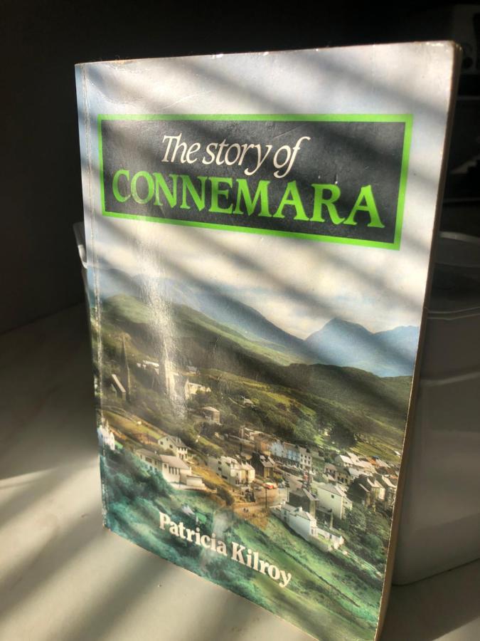 Bruion Connemara Apartment Cleggan Luaran gambar